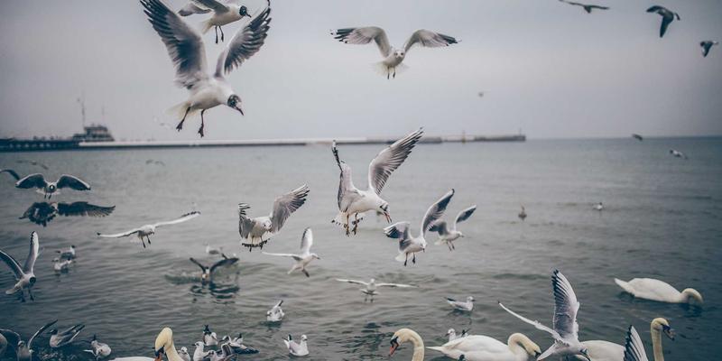循环经济